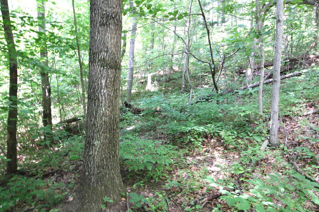 34187 Mt Hope Ridge Road Graysville, OH 45734 - Photo 30 of 51