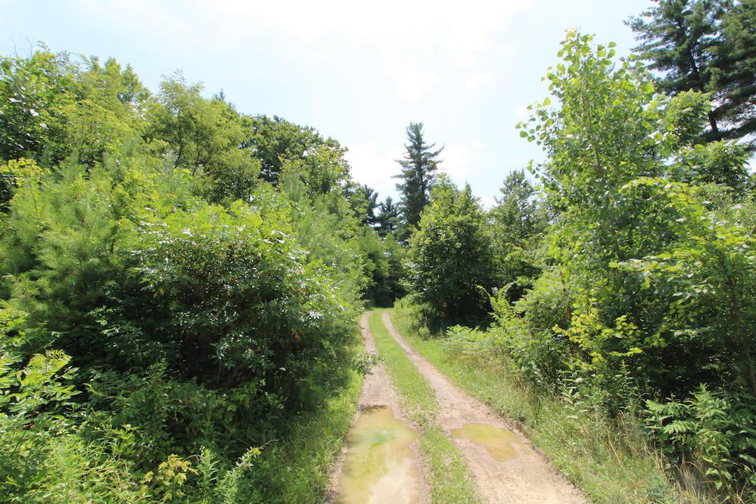 34187 Mt Hope Ridge Road Graysville, OH 45734 - Photo 3 of 51