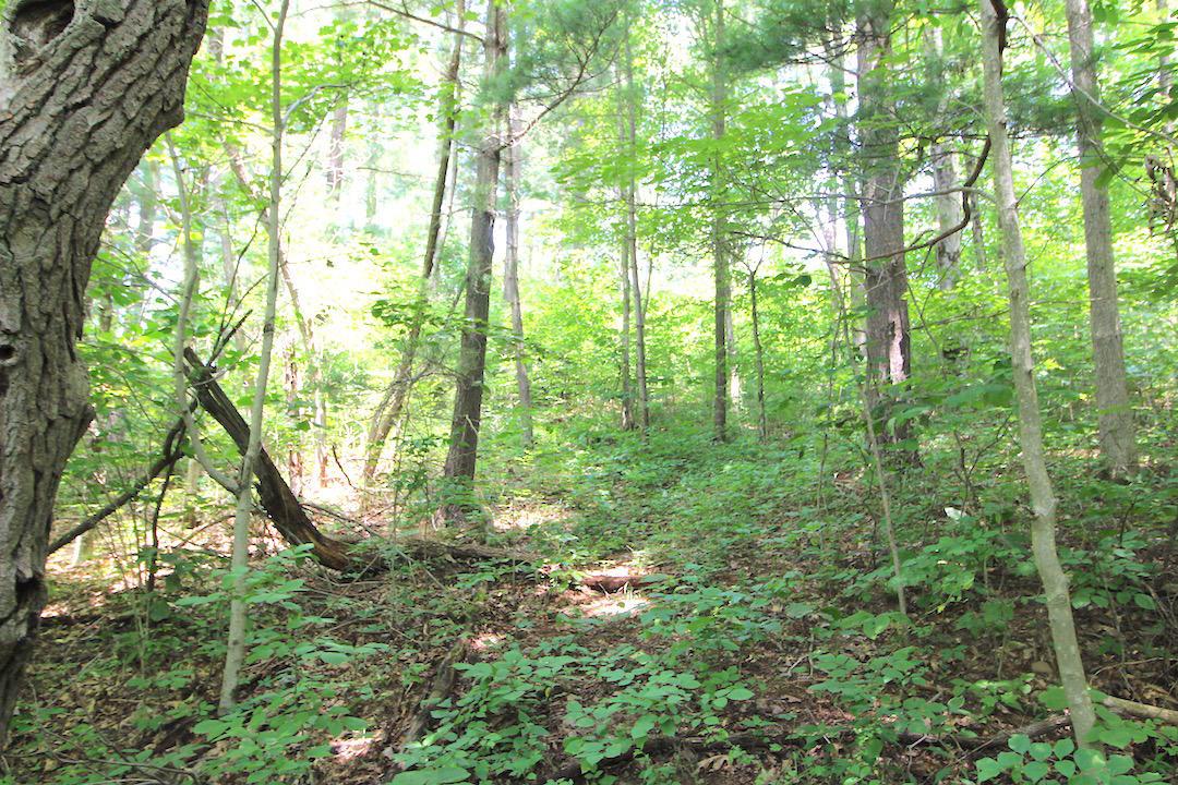 34187 Mt Hope Ridge Road Graysville, OH 45734 - Photo 31 of 51