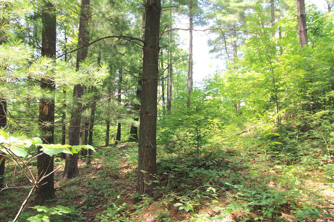 34187 Mt Hope Ridge Road Graysville, OH 45734 - Photo 32 of 51
