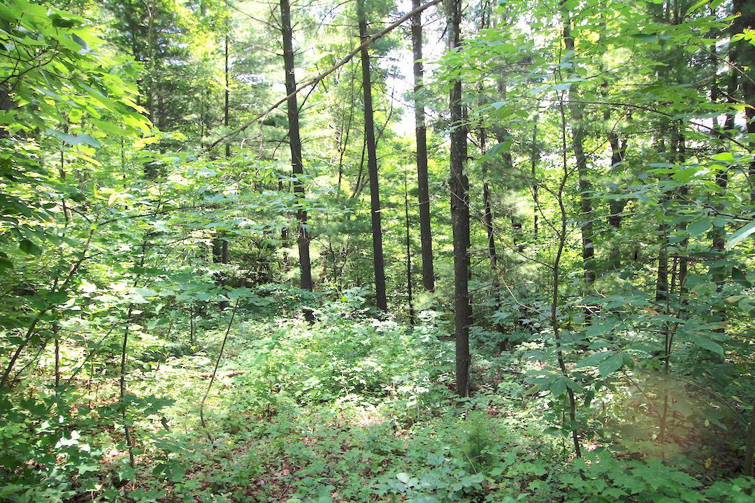 34187 Mt Hope Ridge Road Graysville, OH 45734 - Photo 33 of 51