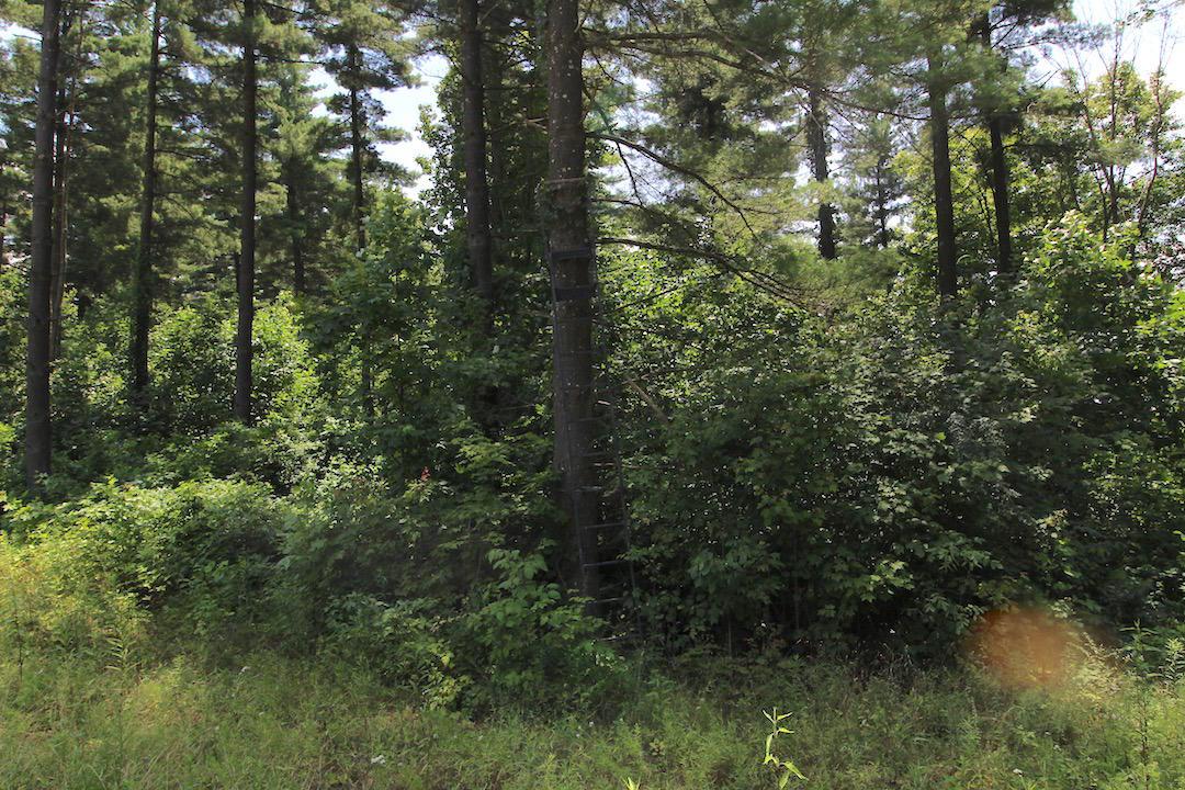 34187 Mt Hope Ridge Road Graysville, OH 45734 - Photo 35 of 51
