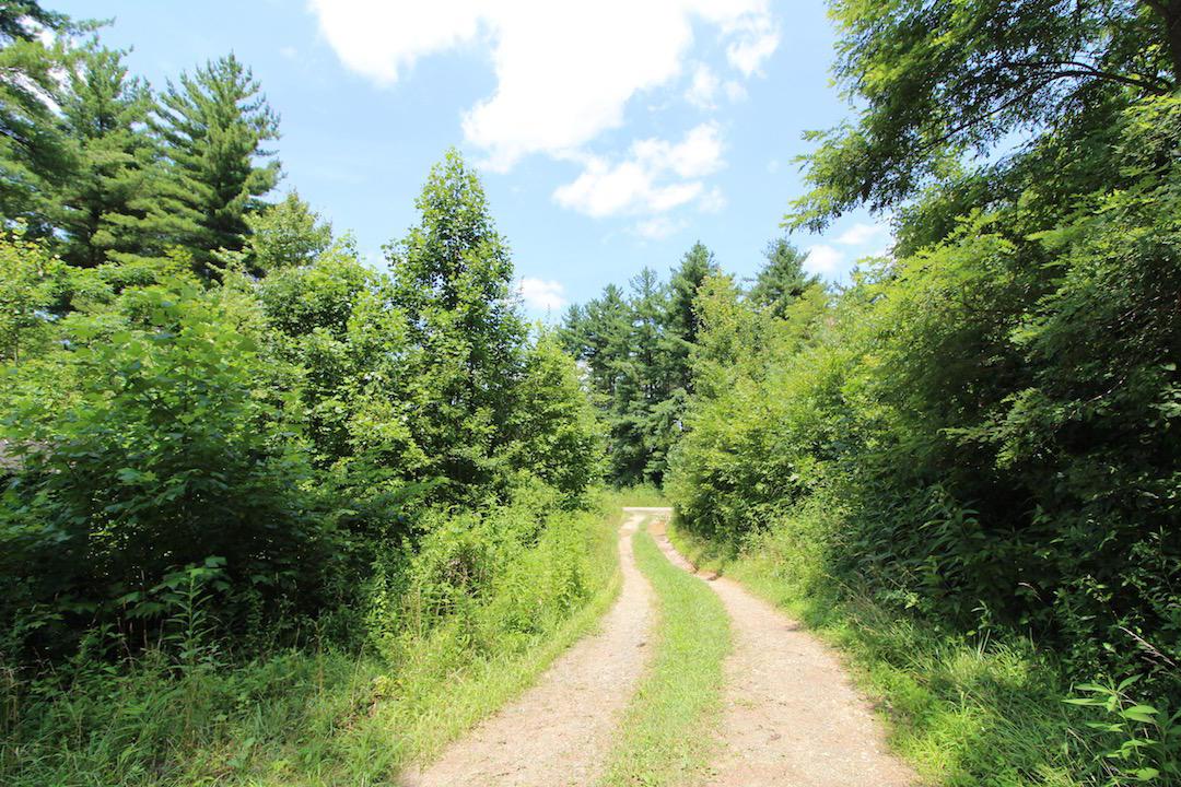 34187 Mt Hope Ridge Road Graysville, OH 45734 - Photo 4 of 51