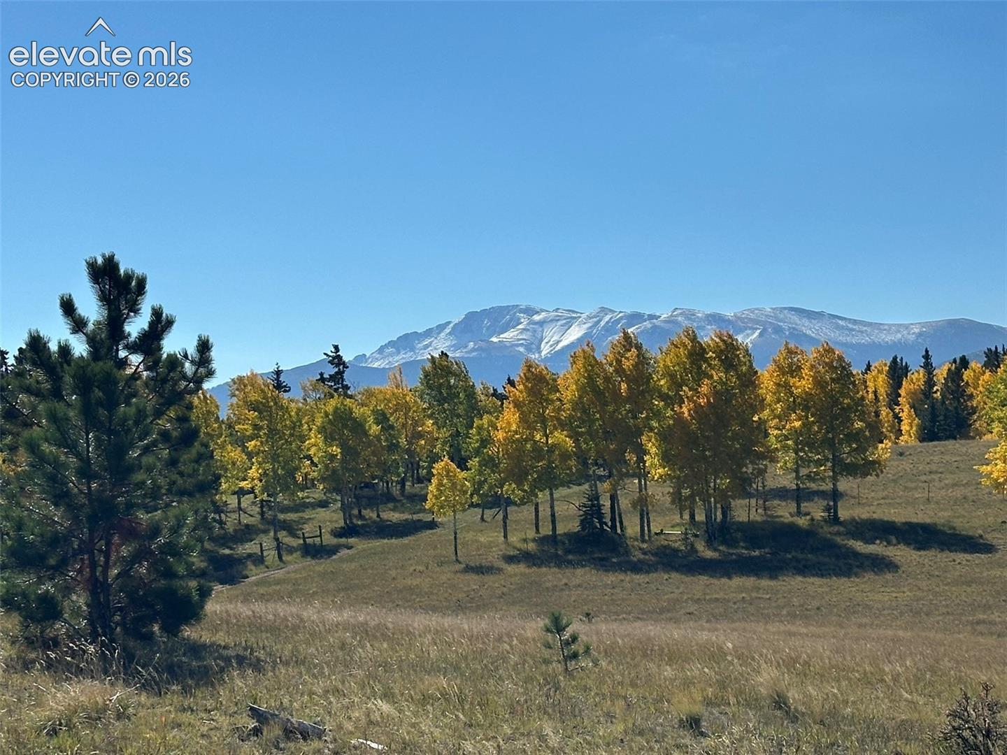 2940 NORTH Rd Divide Divide, CO 80814 - Photo 19 of 27 Gallery Image 19