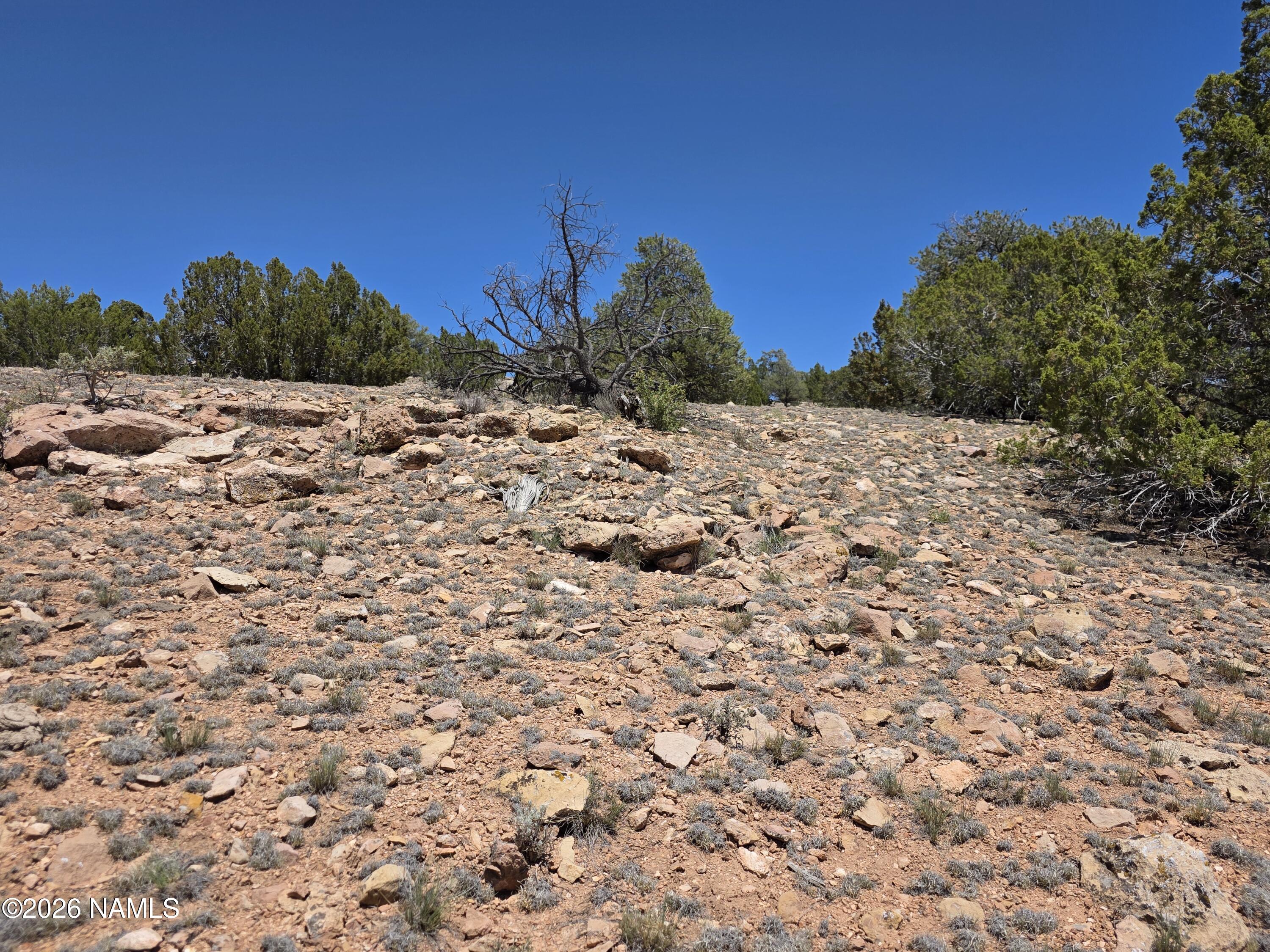 9966 Northstar Road Williams, AZ 86046 - Photo 30 of 37 1000065044