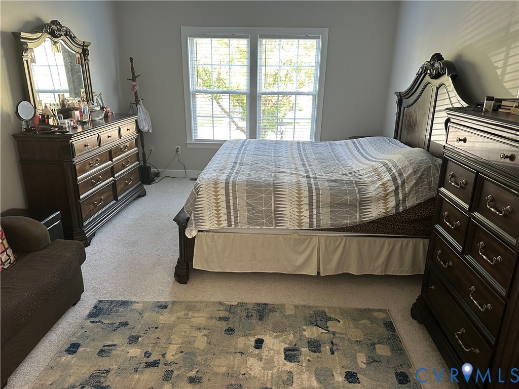 1613 Denby Way Midlothian, VA 23114 - Photo 19 of 50