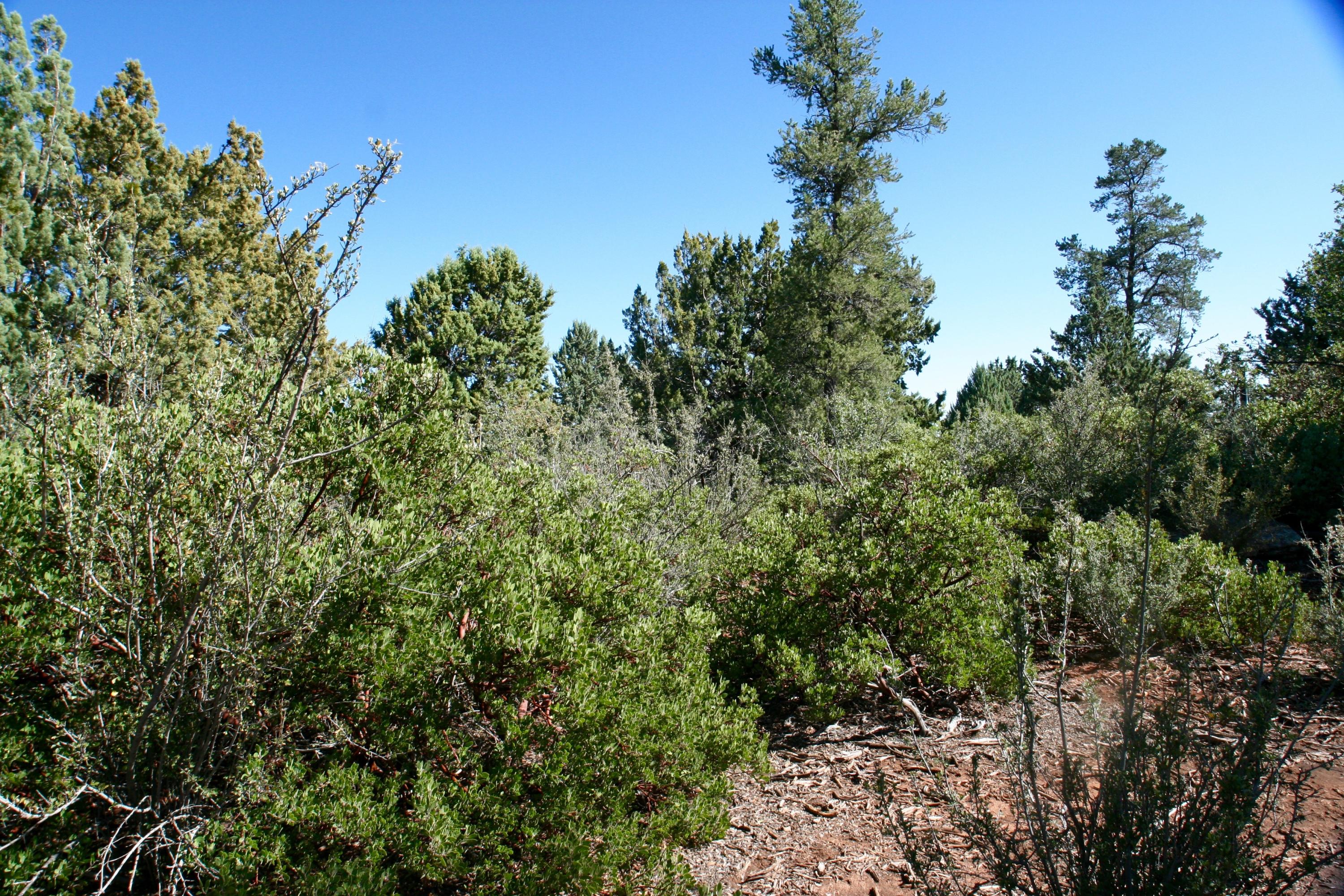 8 North H N Valley View Rd Pine Pine, AZ 85544 - Photo 4 of 9