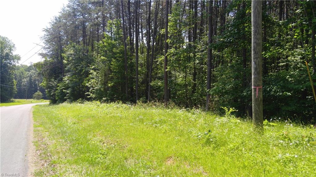 7523-7539 Swaney Road Browns Summit, NC 27214 - Photo 1 of 6 View from Swaney Rd