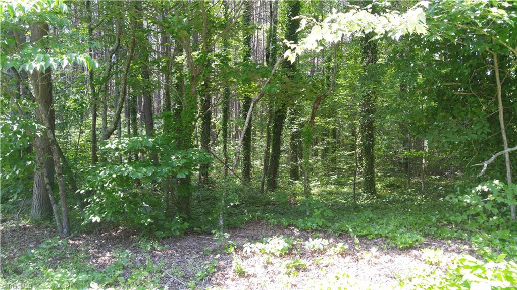 7523-7539 Swaney Road Browns Summit, NC 27214 - Photo 2 of 6 Wooded lot