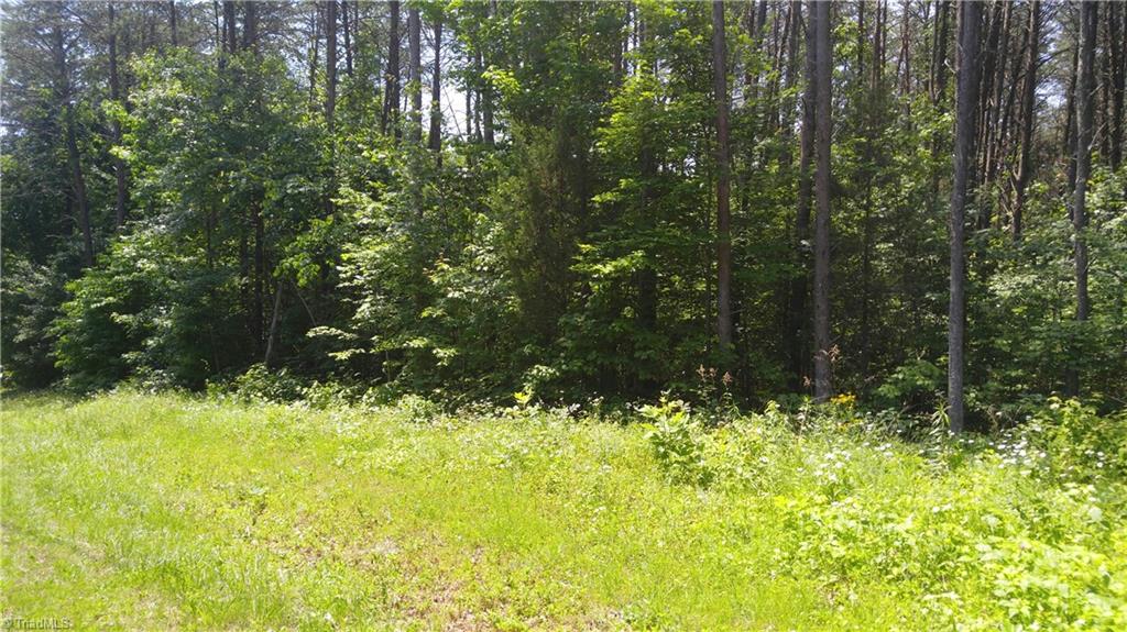 7523-7539 Swaney Road Browns Summit, NC 27214 - Photo 3 of 6 Road frontage