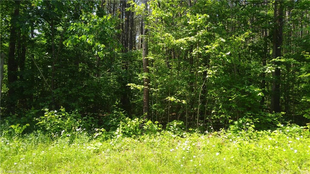 7523-7539 Swaney Road Browns Summit, NC 27214 - Photo 4 of 6 Road frontage