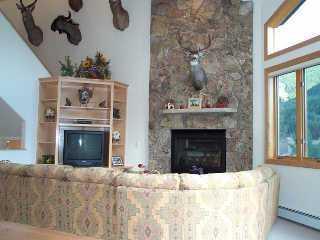 1890 Lions Ridge Loop, Unit 1 Vail, CO 81657 - Photo 3 of 4 Additional Photo