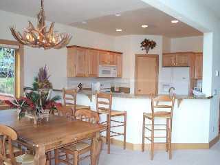 1890 Lions Ridge Loop, Unit 1 Vail, CO 81657 - Photo 4 of 4 Additional Photo