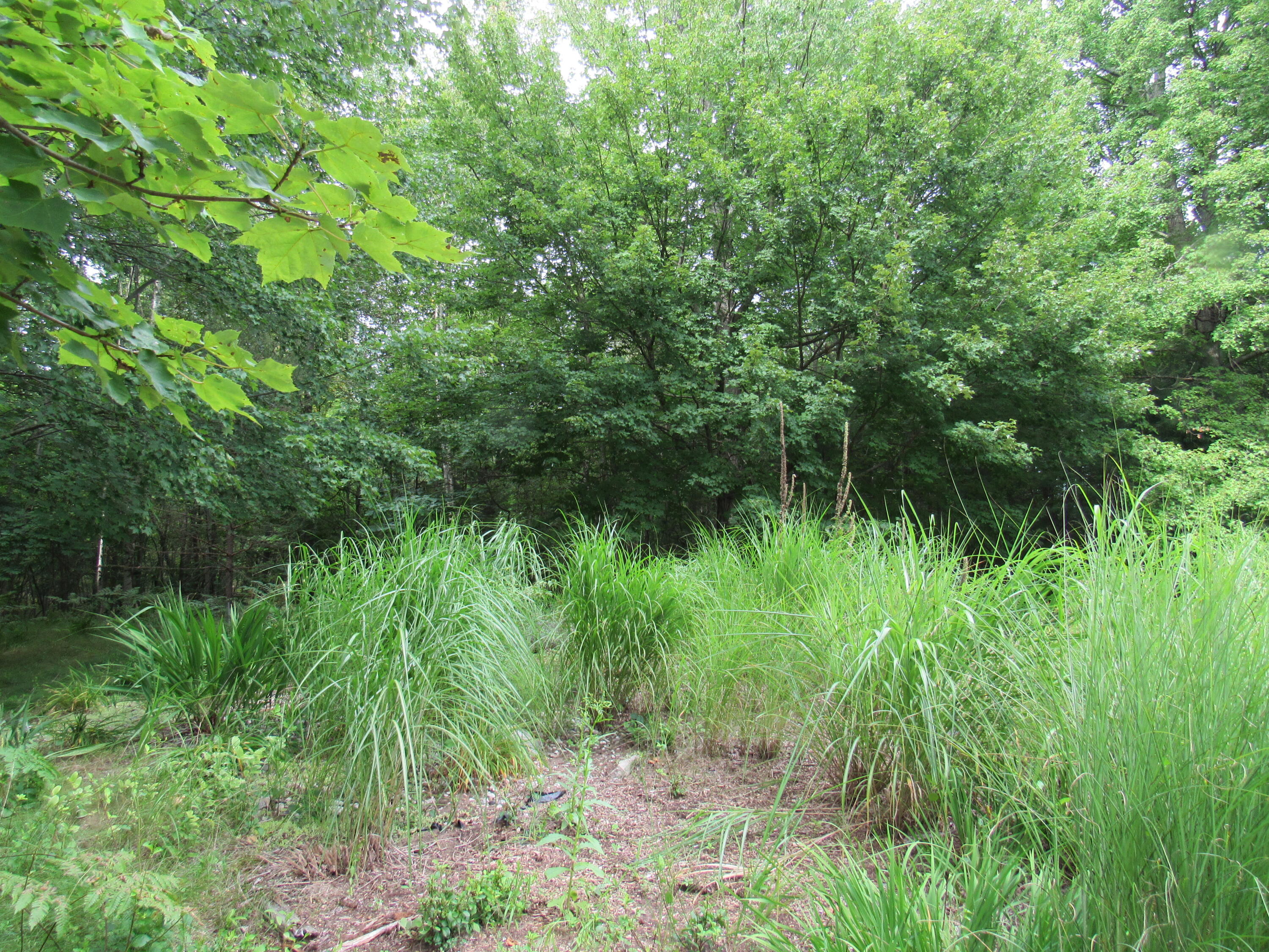 5747 Zellar Road Whitehall, MI 49461 - Photo 9 of 39 Private Property