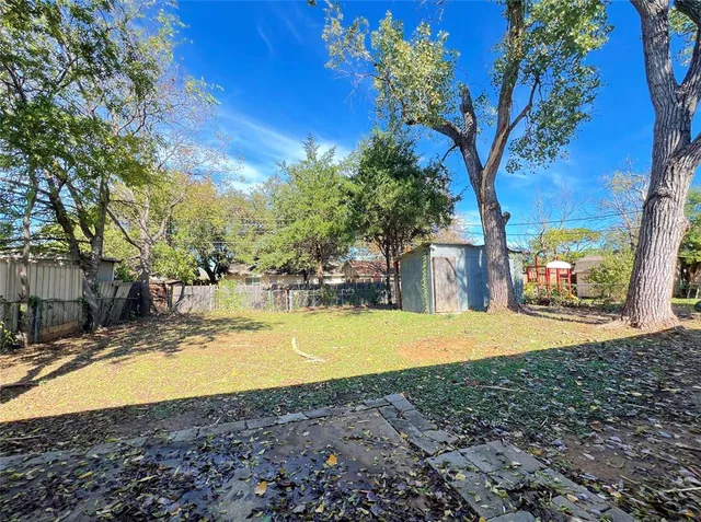 a view of a yard with an tree