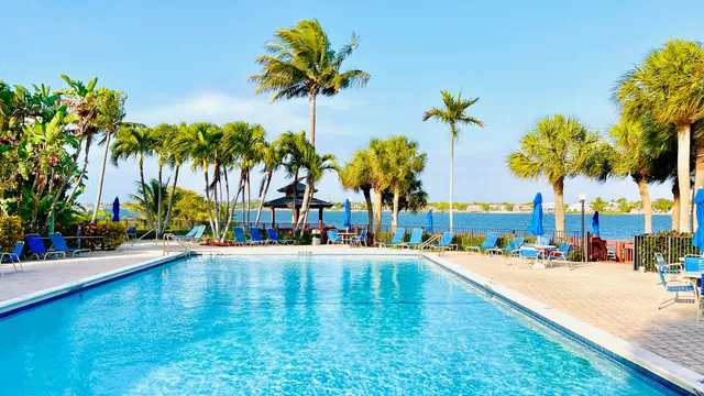 a view of a swimming pool with a lawn chairs under palm trees