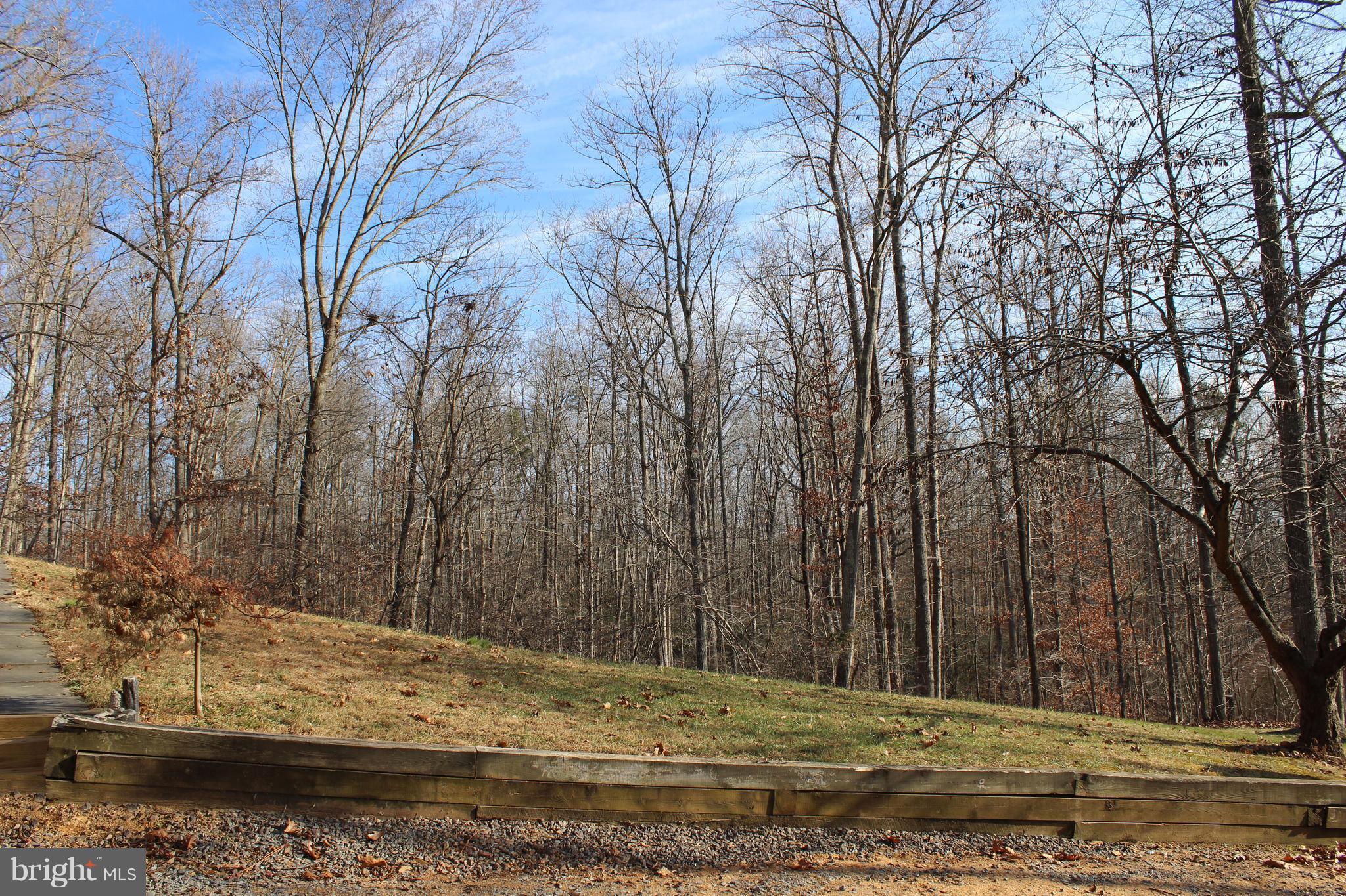 10311 River Road Rixeyville, VA 22737 - Photo 28 of 30 a view of a yard with large trees