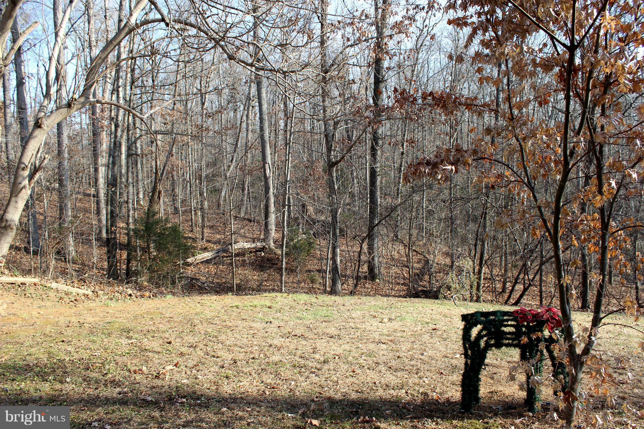 10311 River Road Rixeyville, VA 22737 - Photo 5 of 30 a view of snow on a yard