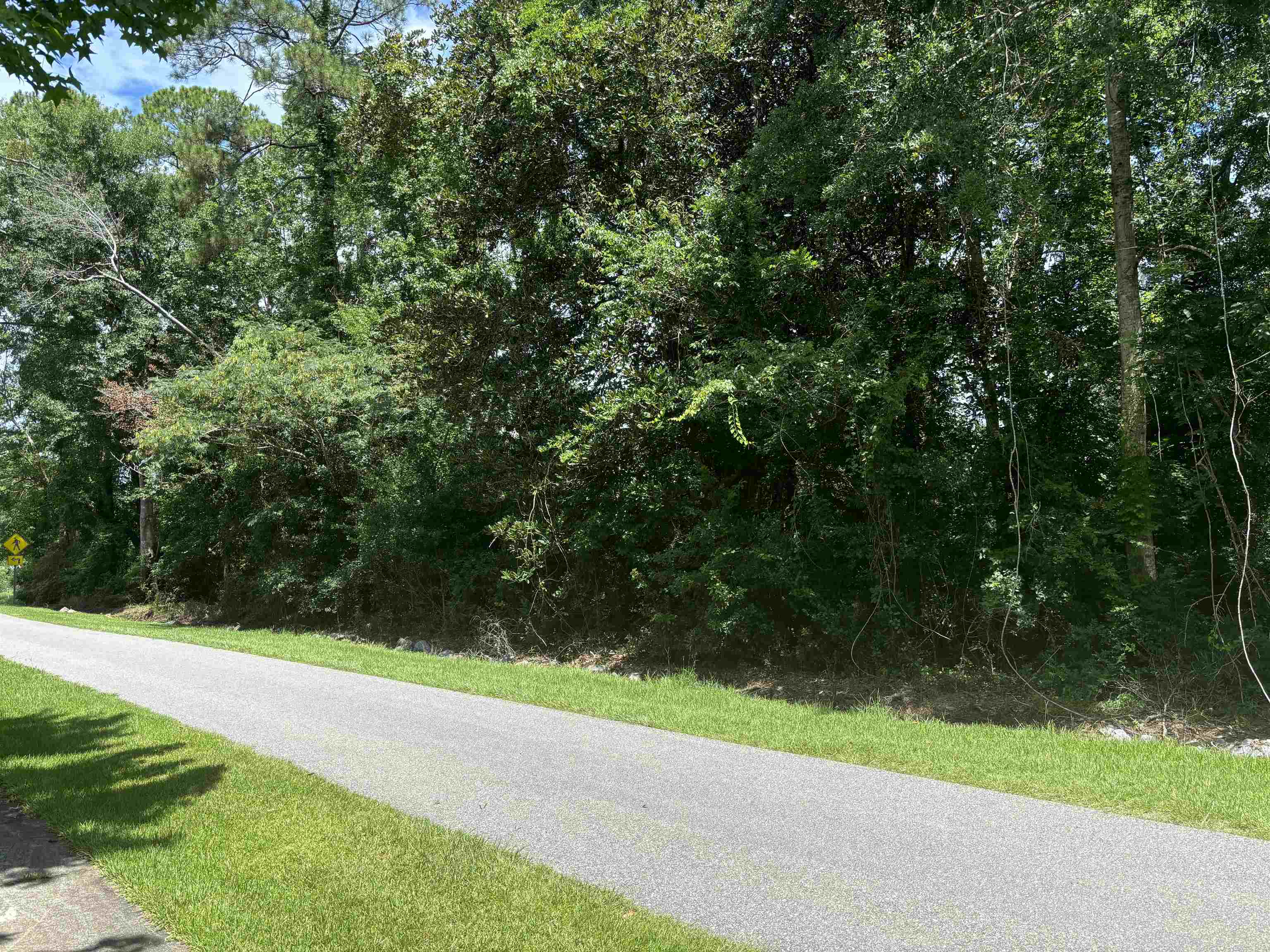 0 1st Avenue Silverhill, AL 36576 - Photo 3 of 5 Community