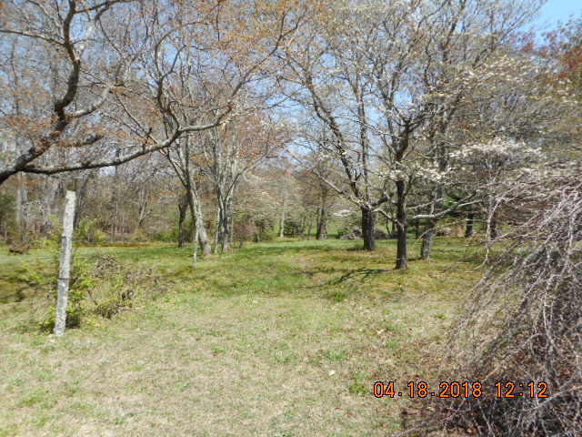 319 Miller Road Signal Mountain, TN 37377 - Photo 13 of 17 DSCN8706