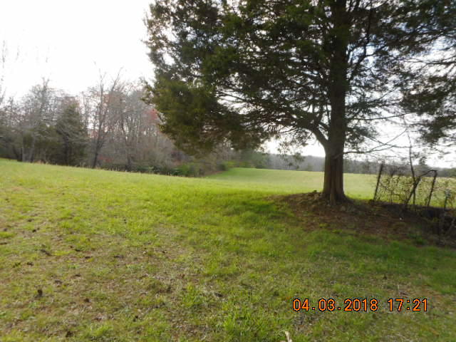 319 Miller Road Signal Mountain, TN 37377 - Photo 3 of 17 DSCN8674