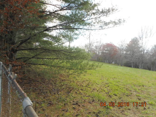 319 Miller Road Signal Mountain, TN 37377 - Photo 4 of 17 DSCN8673