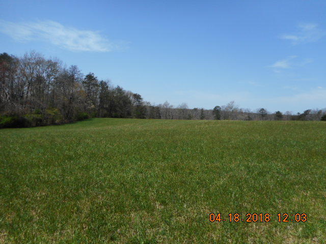 319 Miller Road Signal Mountain, TN 37377 - Photo 7 of 17 DSCN8700