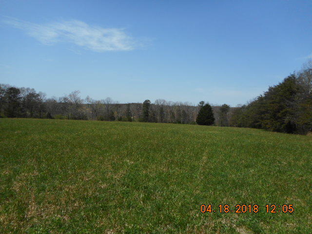319 Miller Road Signal Mountain, TN 37377 - Photo 8 of 17 DSCN8701