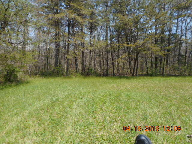 319 Miller Road Signal Mountain, TN 37377 - Photo 10 of 17 DSCN8703