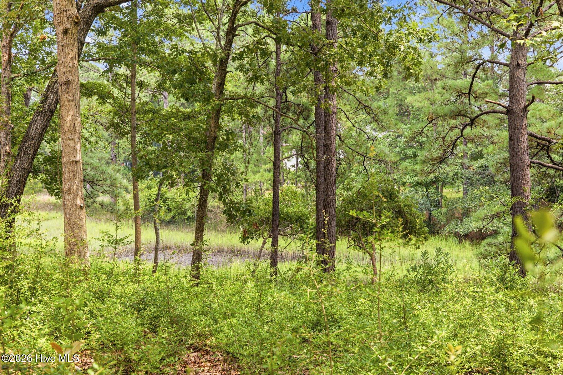 813 Gull Point Road Wilmington, NC 28405 - Photo 15 of 20 011_813_gull_point-11_250