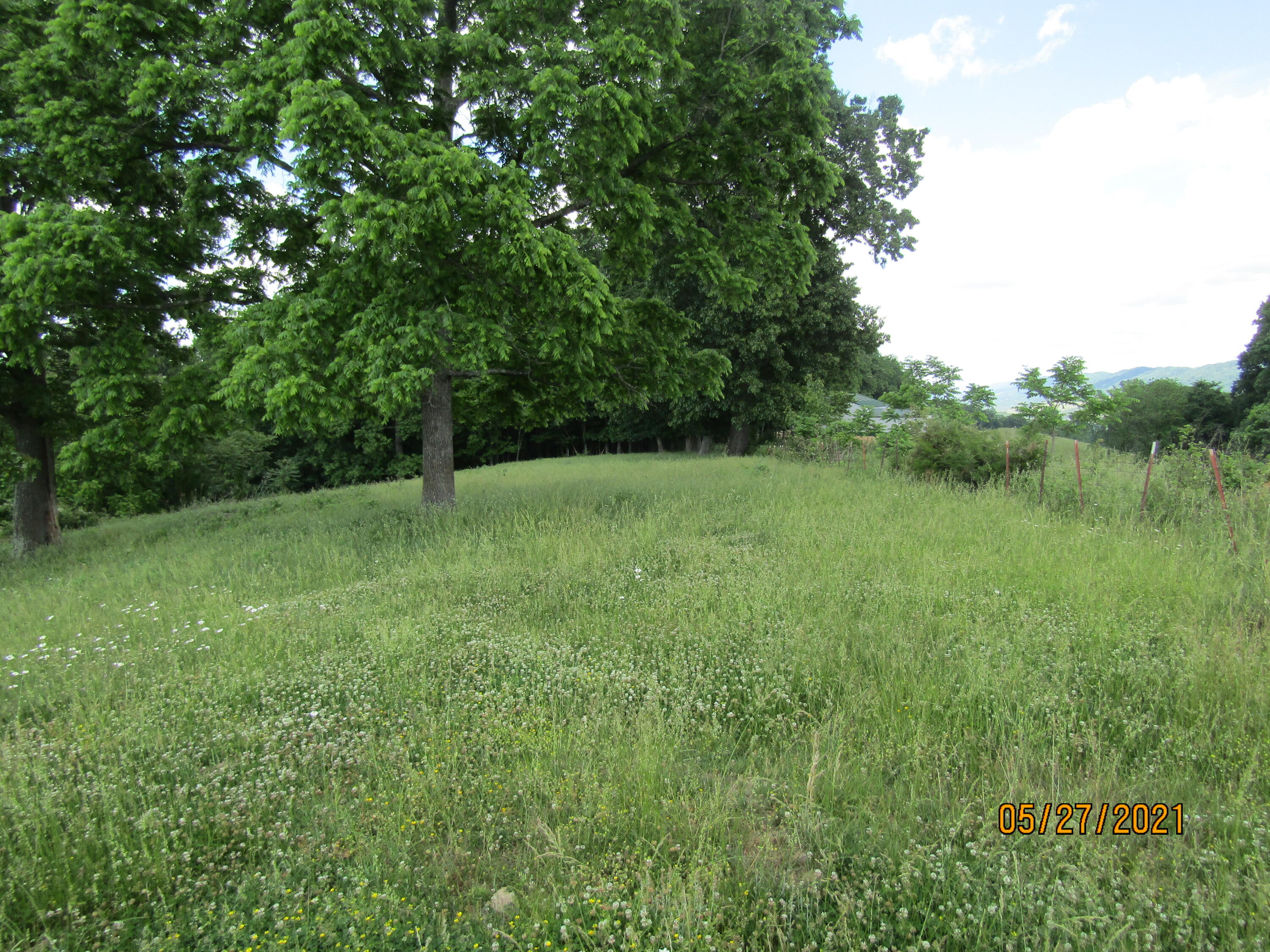Off Little Valley Road Tazewell, TN 37879 - Photo 3 of 4 IMG_2472