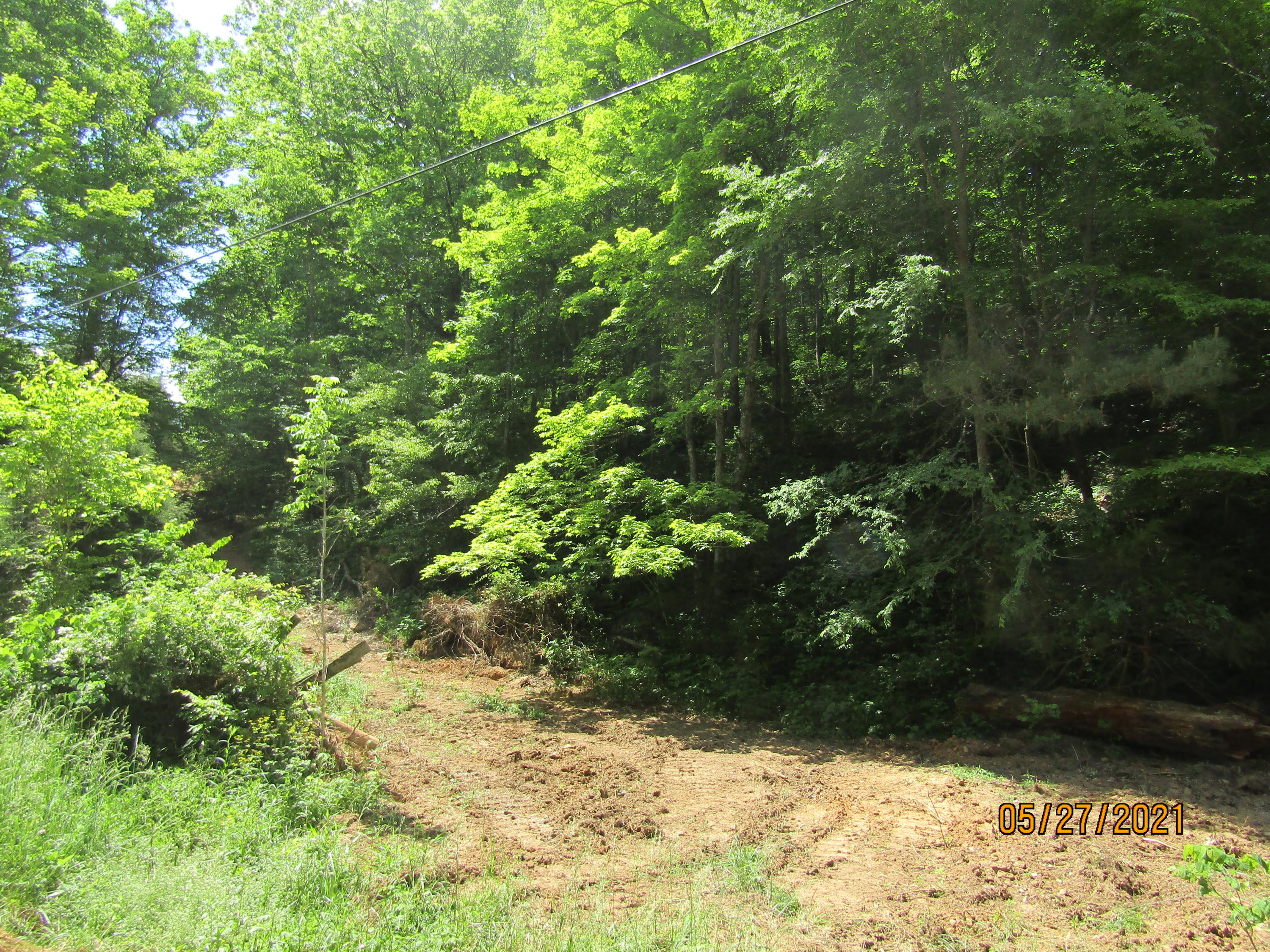 Off Little Valley Road Tazewell, TN 37879 - Photo 4 of 4 IMG_2465