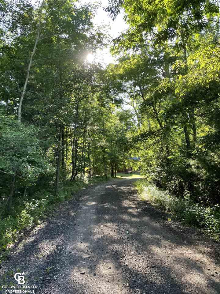 7658 Jordan Road Melvin, MI 48454 - Photo 11 of 82