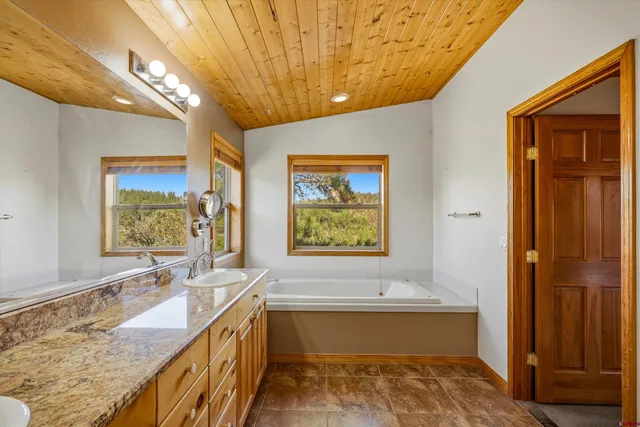 a bathroom with a tub a sink and a large window