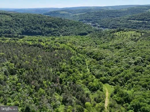 a view of a lush green forest with trees and some houses
