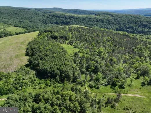 a view of a lush green forest with trees and some houses