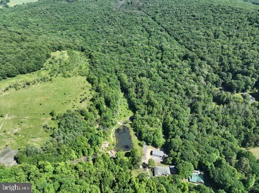 Hill Road Lonaconing, MD 21539 - Photo 24 of 45 a view of a lush green forest with lots of trees