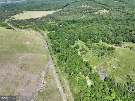 a view of a yard with a trees