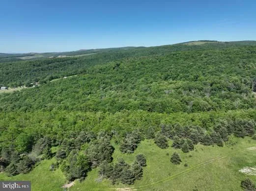 a view of a green field with lots of bushes