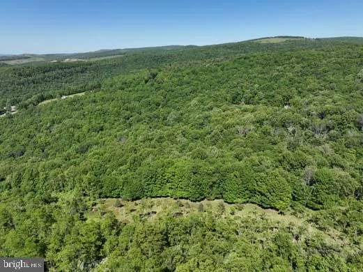 a view of a green field with lots of bushes