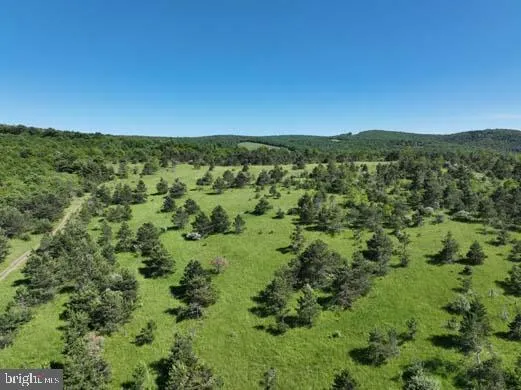 a view of a green field with lots of trees in the background