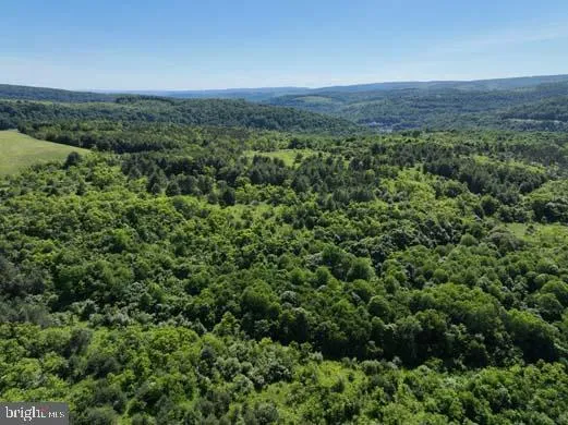 a view of a green field with lots of bushes