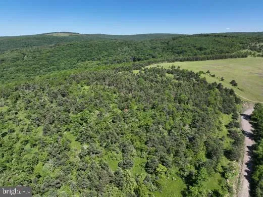 a view of a field with an ocean