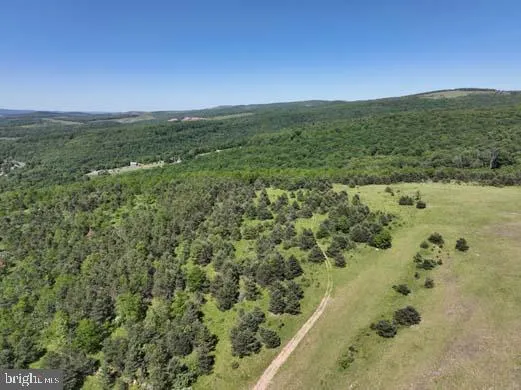 a view of a big yard with lots of green space