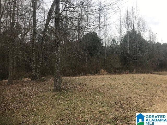 3 Cannie Phillips Road, Unit ACERAGE Sumiton, AL 35148 - Photo 1 of 4
