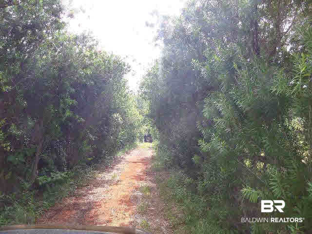 12423 County Road 87 Elberta, AL 36530 - Photo 4 of 38