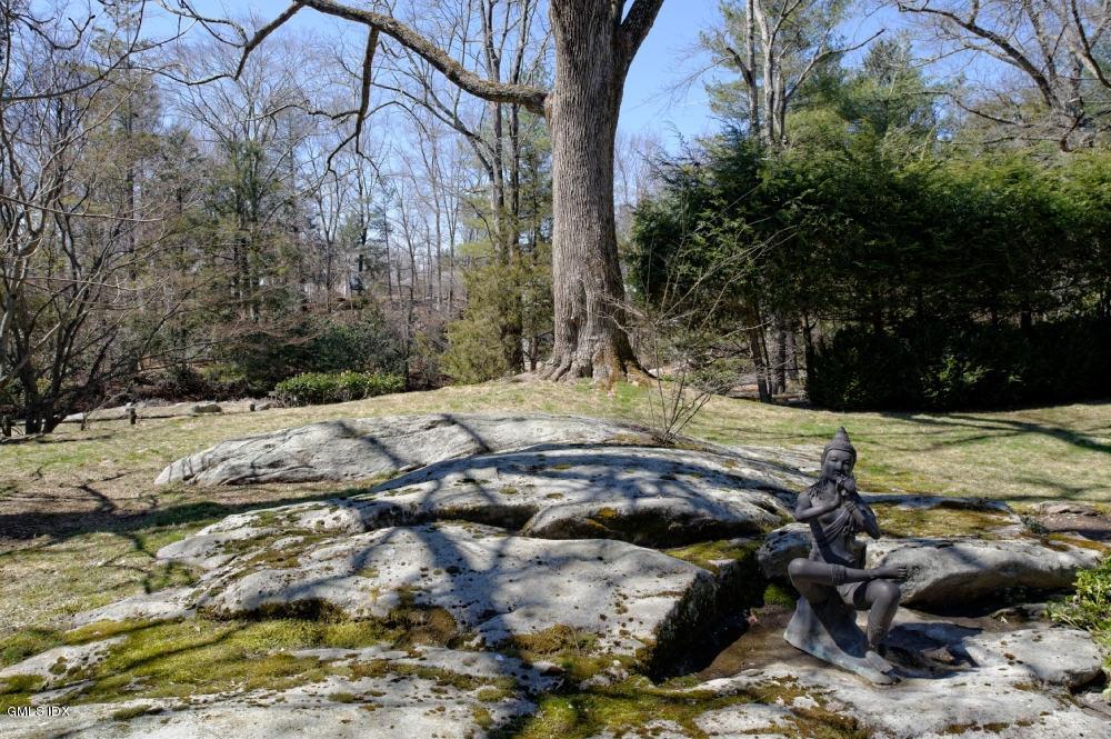 105 Dingletown Road Greenwich, CT 06830 - Photo 41 of 65 a view of a tree with a yard