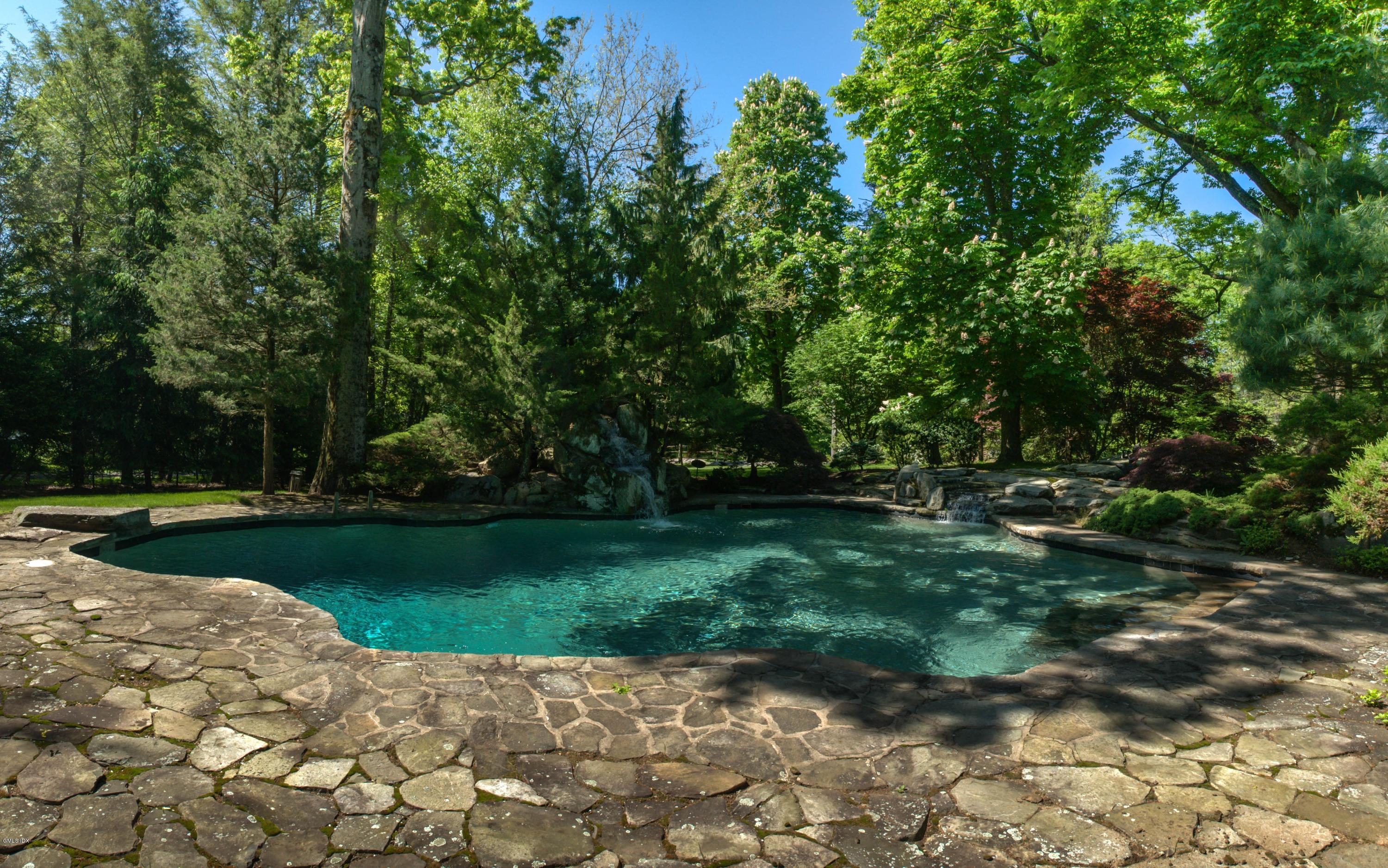 105 Dingletown Road Greenwich, CT 06830 - Photo 45 of 65 a view of a park with plants and trees