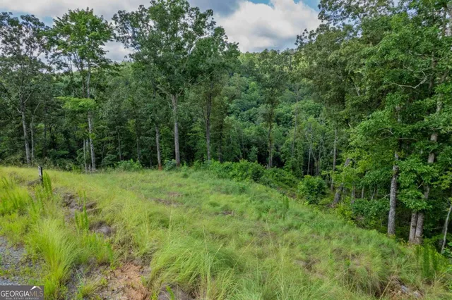 a view of outdoor space and garden