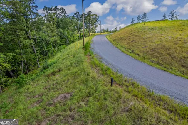 a view of a yard with an outdoor space